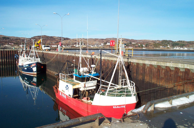 Fishing boats in Lochinver Harbour  -  1