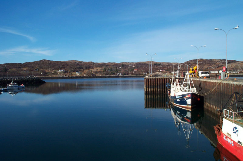 Fishing boats in Lochinver Harbour  -  2